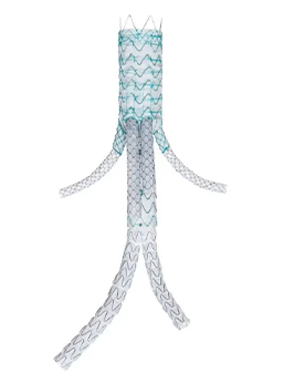 俄罗斯贵宾会·(中国)集团