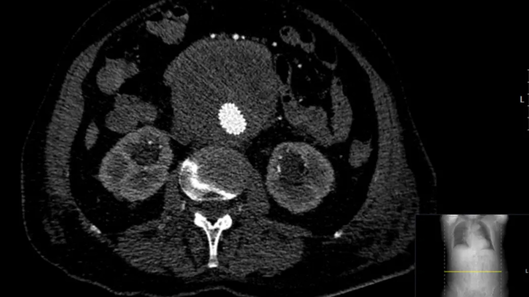 俄罗斯贵宾会·(中国)集团
