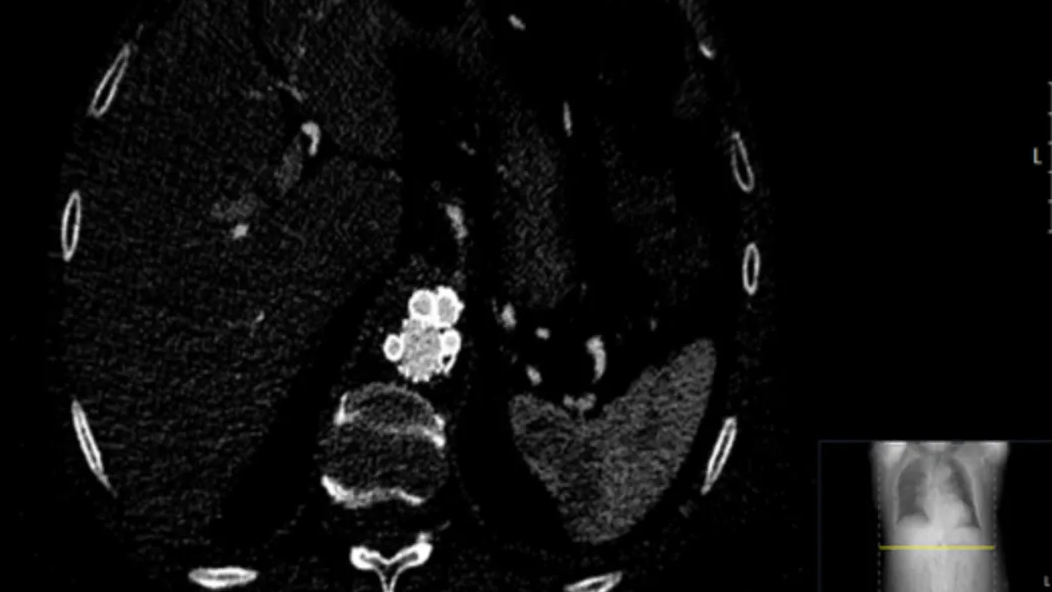 俄罗斯贵宾会·(中国)集团