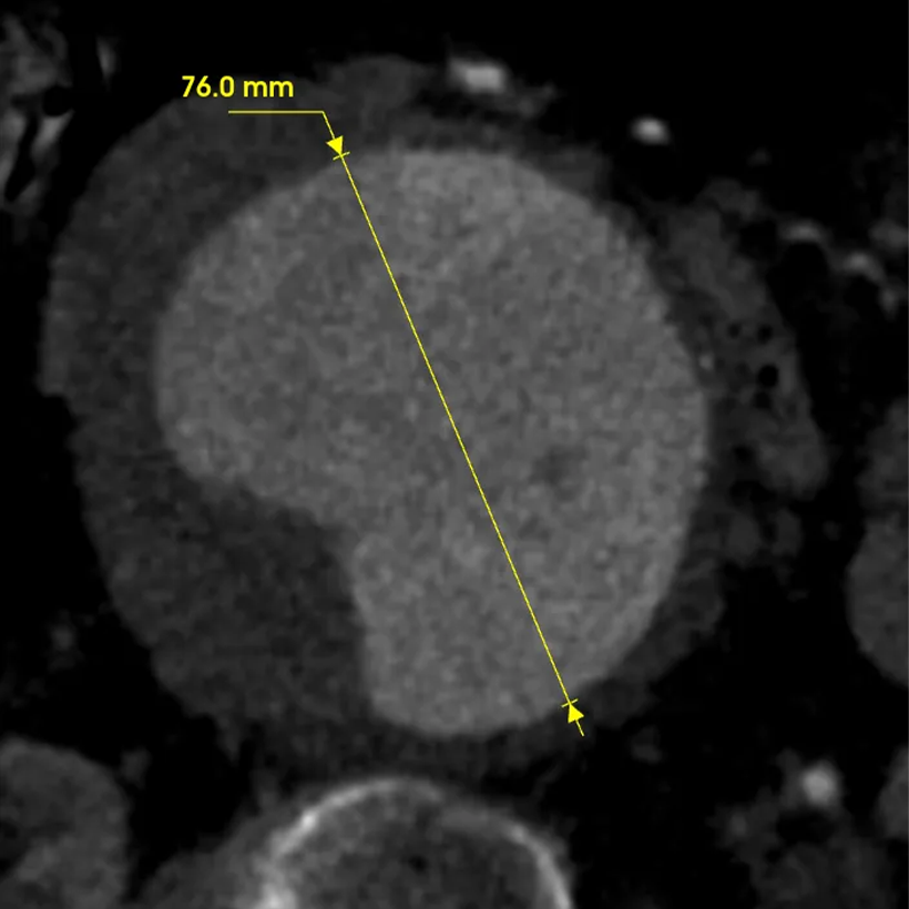 俄罗斯贵宾会·(中国)集团