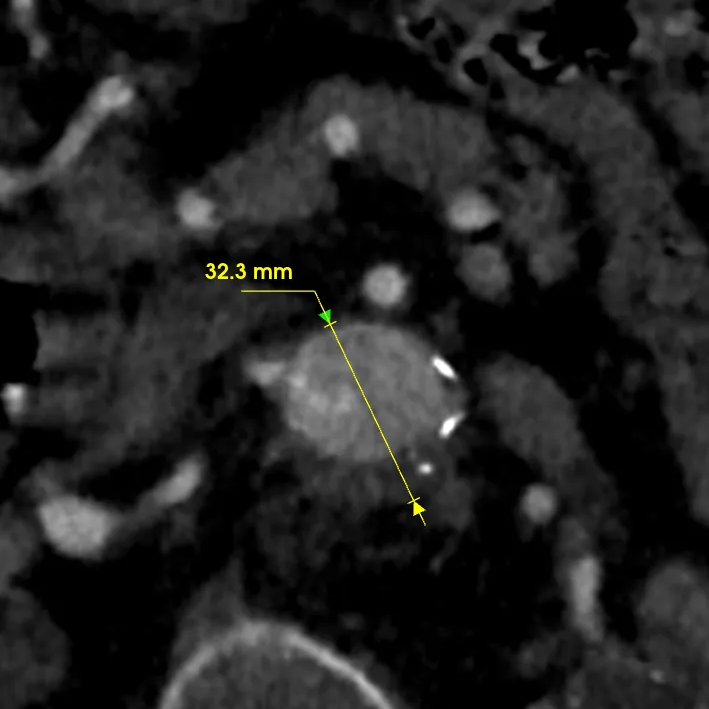俄罗斯贵宾会·(中国)集团