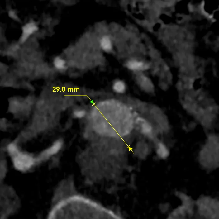 俄罗斯贵宾会·(中国)集团